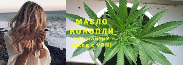 гидра Бородино